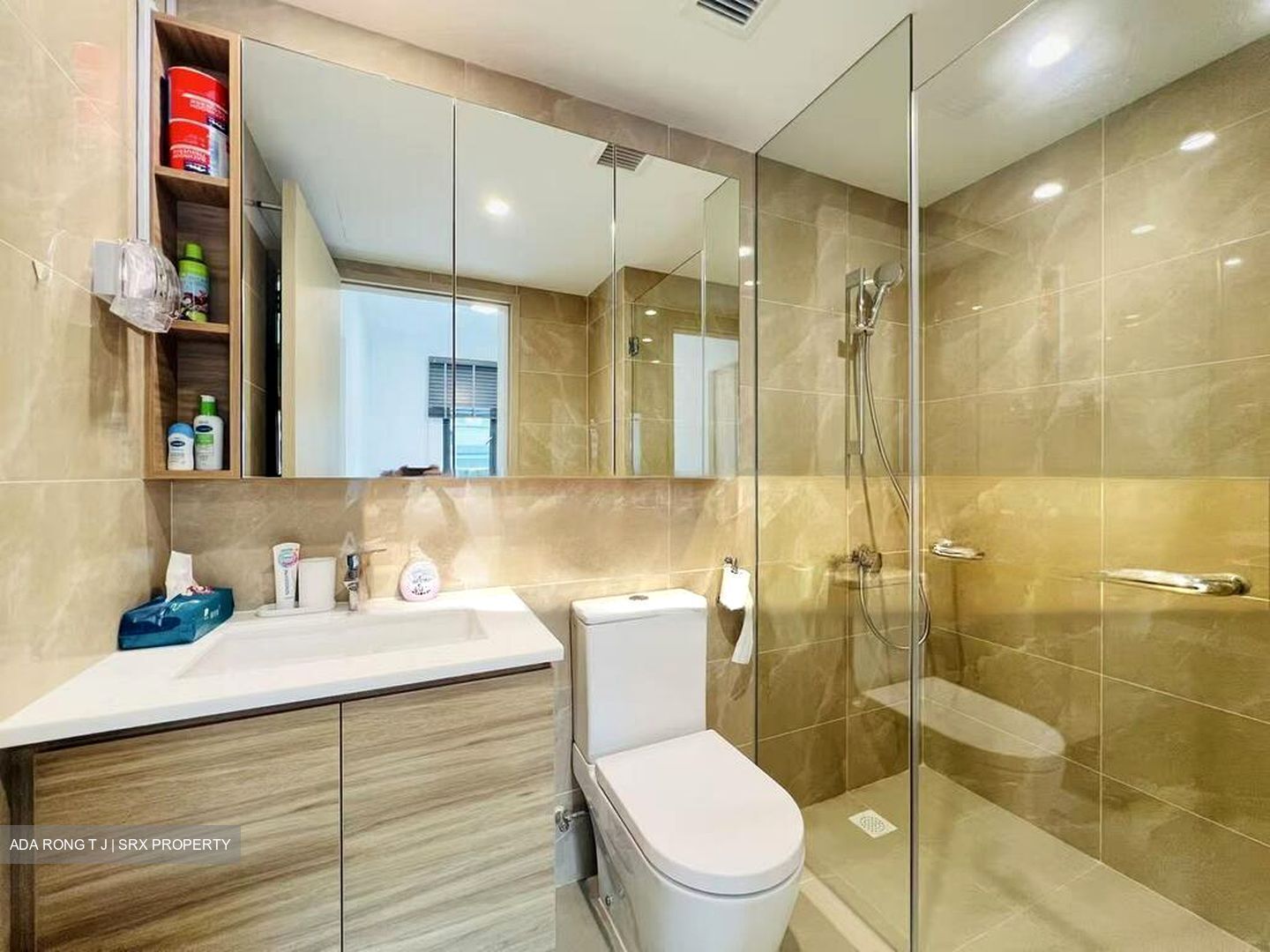 Treasure at Tampines (D18), Condominium #502128861